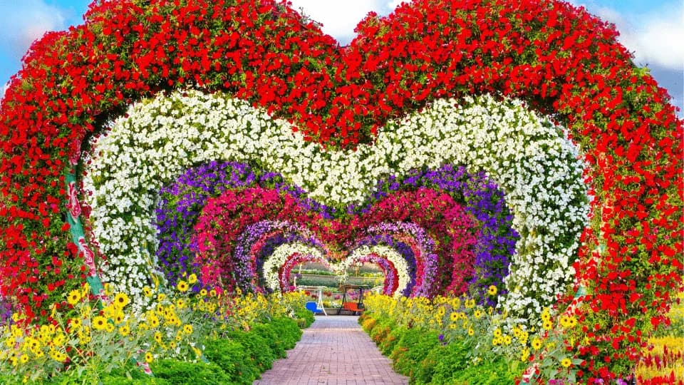 Dubai Miracle Garden - Image 1