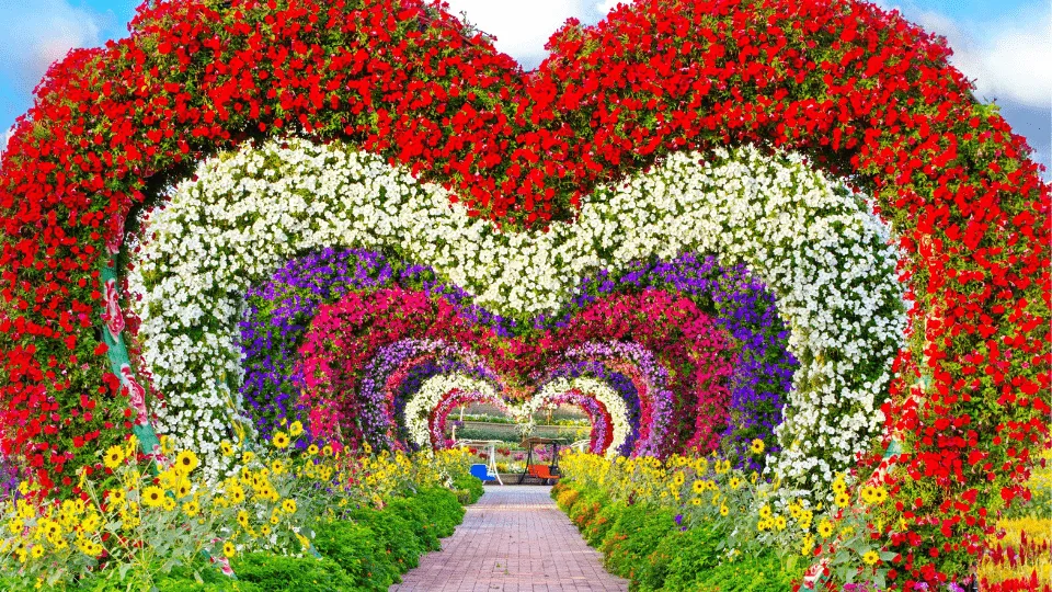 Dubai Miracle Garden - Image 1