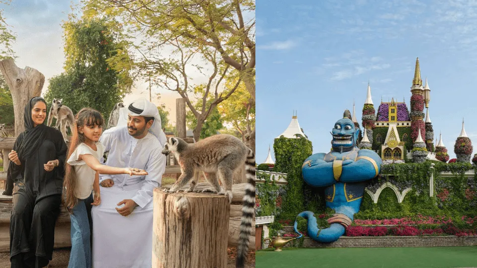 Miracle Garden + Dubai Safari Park – Combo - Image 1