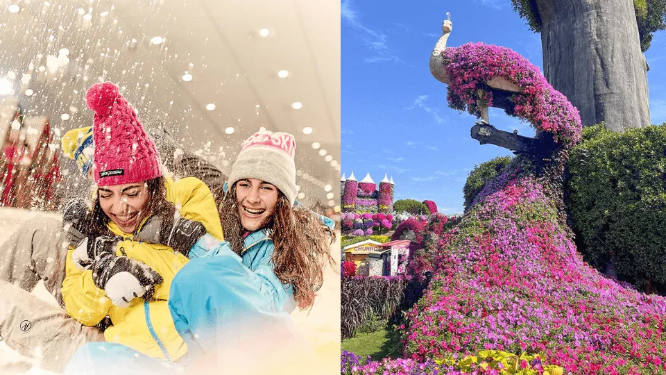 Miracle Garden + Ski Dubai – Combo - Image 1